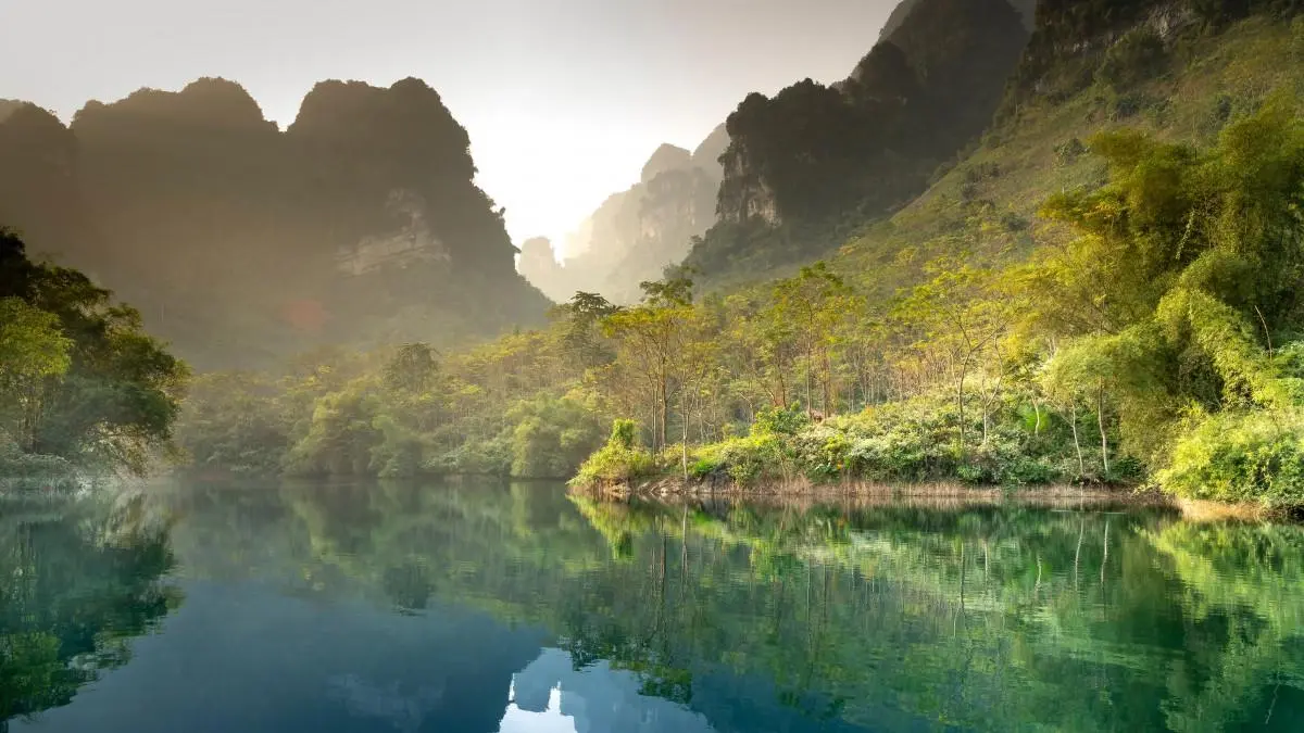 智慧高标准高效